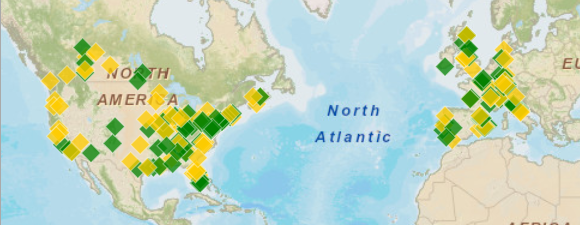 Exemplo de um widget de Mapa para ESRI