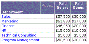 Report Department, Paid Salary metric, Paid Bonus metric