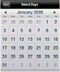 Calendar prompt, displaying as a month