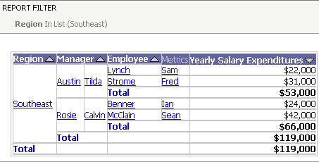 Example of Report Filter