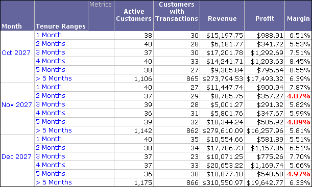 Customer Profitability - By Tenure report