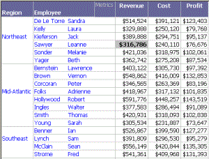 Basic Report, with region and employee, and revenue, profit, and cost metrics