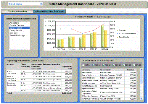 Individual Account Rep View