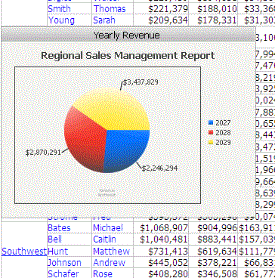 Information Window displaying a pie chart for the selected region