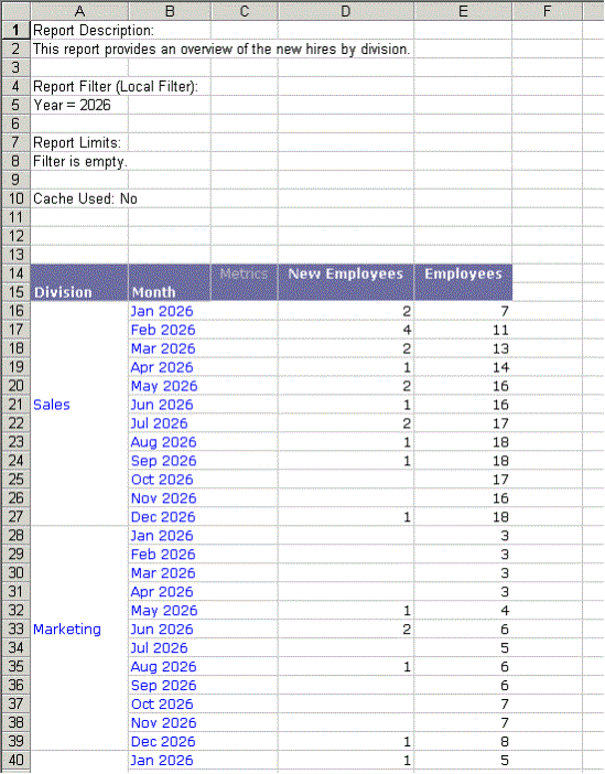 Report displayed in an Excel spreadsheet